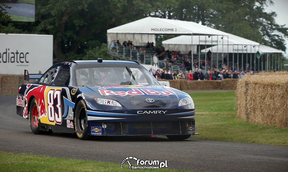 red bull toyota camry #7