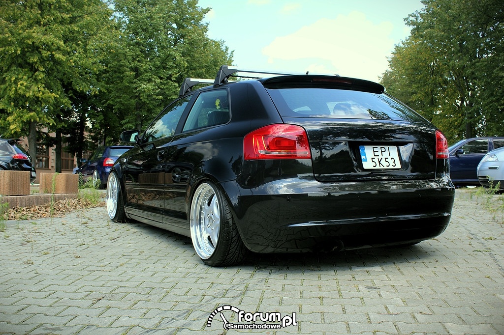 Audi A3 8p, tył