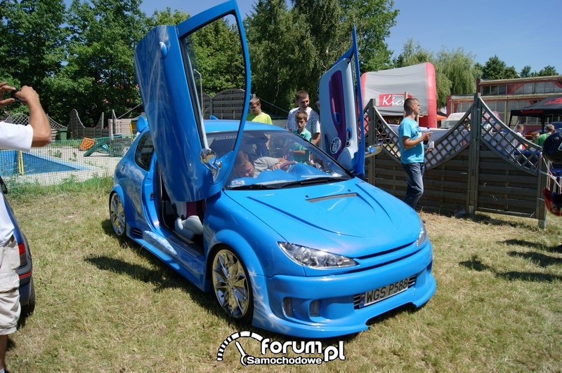 Peugeot - lambo doors