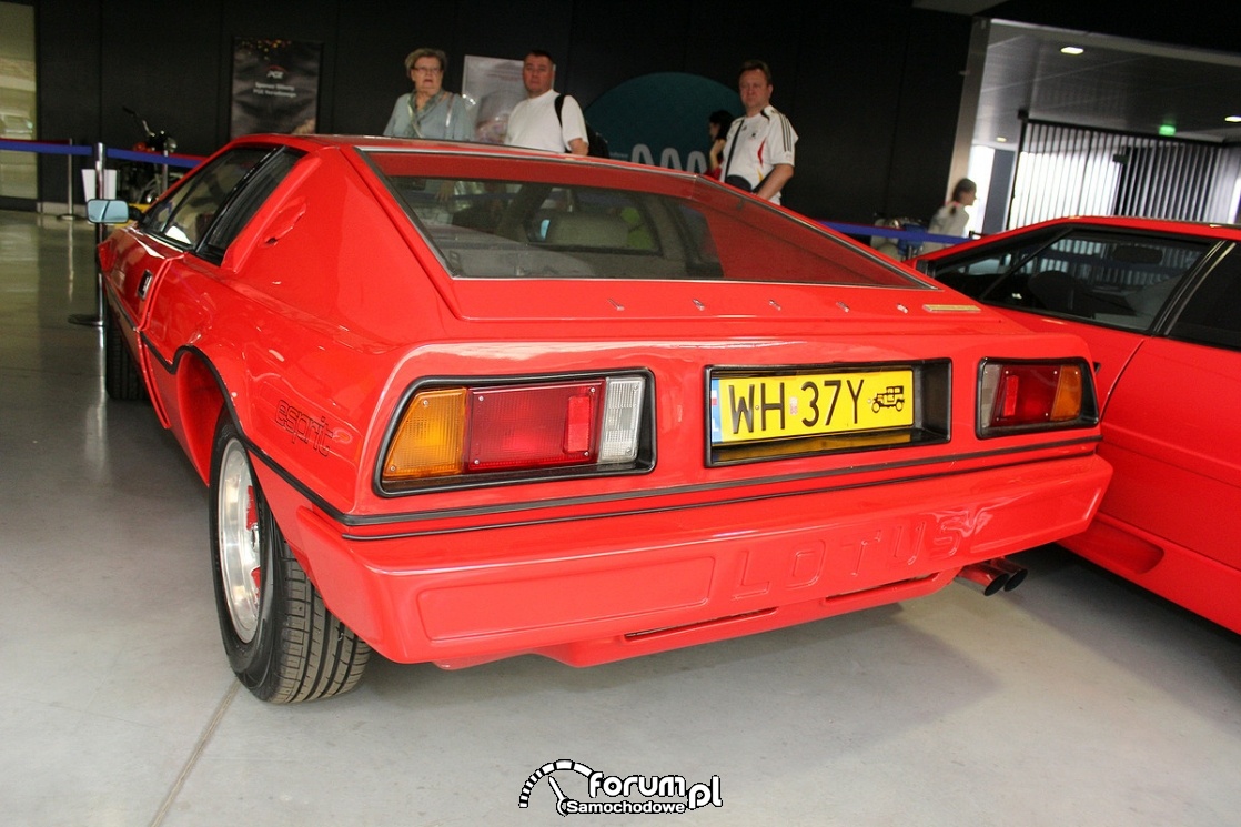 Lotus Esprit, tył