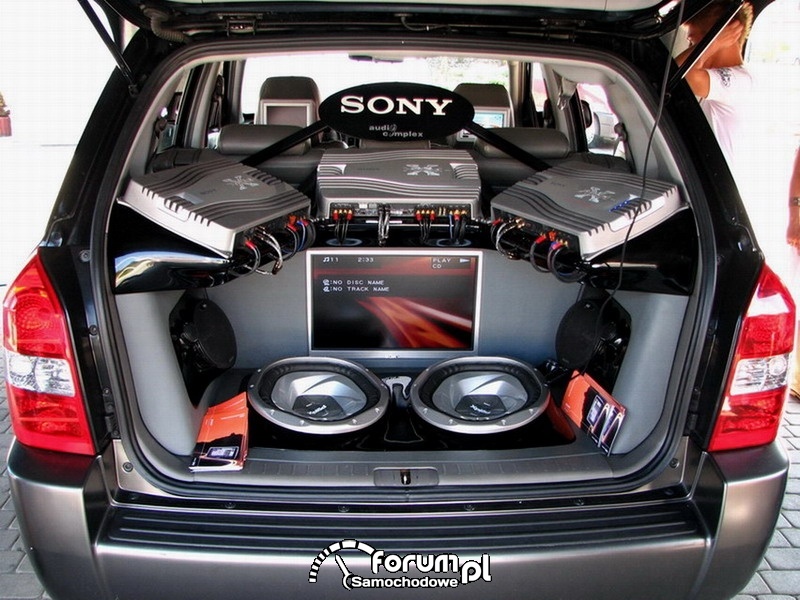 Car audio, video 2007