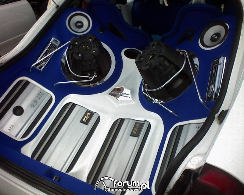 Car audio, video 2007