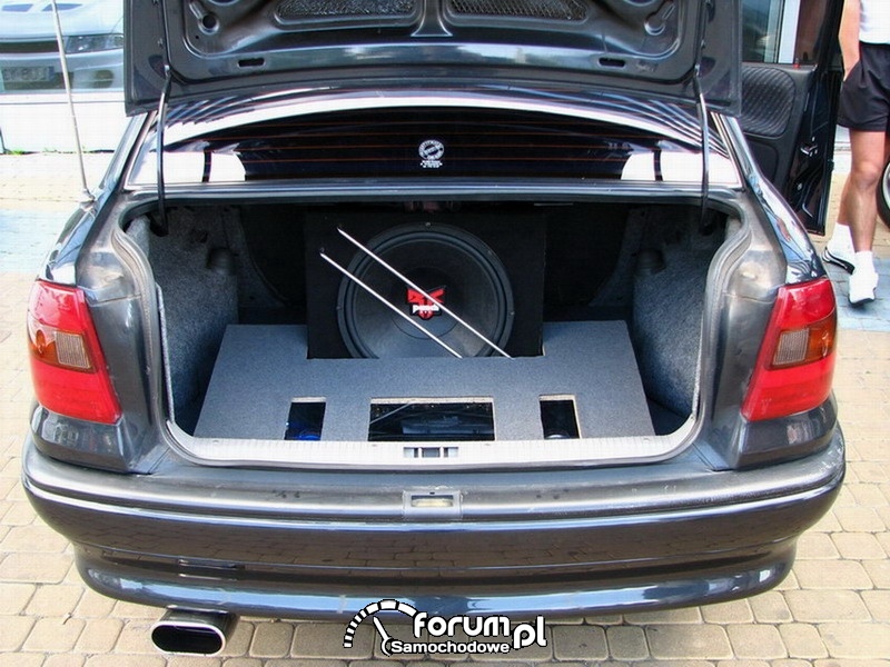 Car audio, video 2007