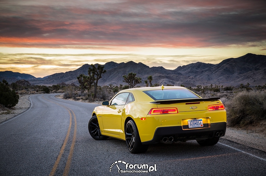 Chevrolet Camaro, żółty, tył, 2015