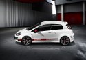 Abarth Punto Evo, bok