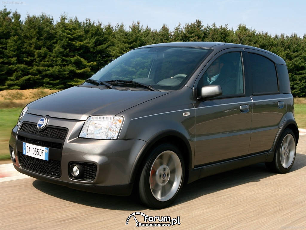 Fiat Panda 100HP