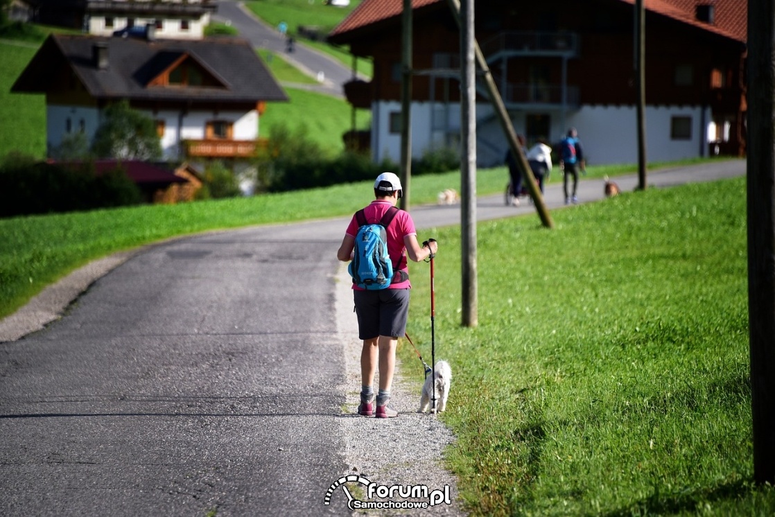 Na poboczu - kierowca, rowerzysta, pieszy