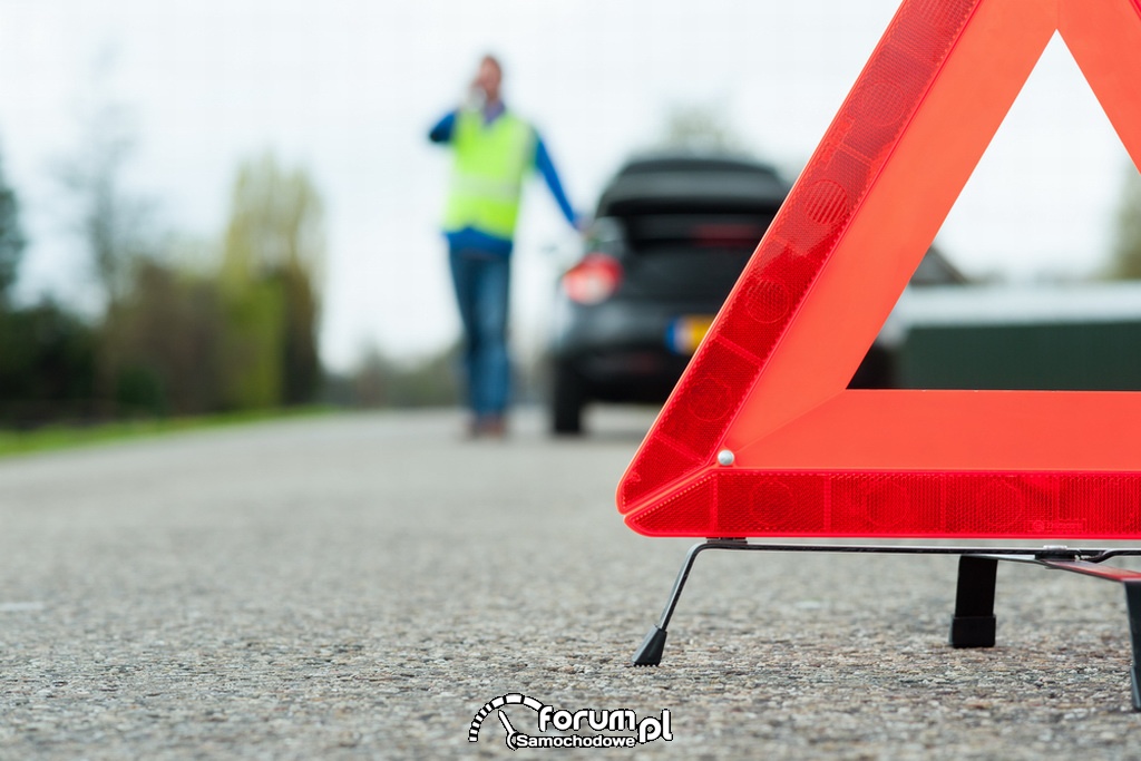 Niespodziewany gość na drodze! Uważajmy na dzikie zwierzęta