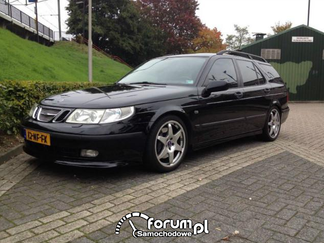 Hirsch Saab 9-5 Performance