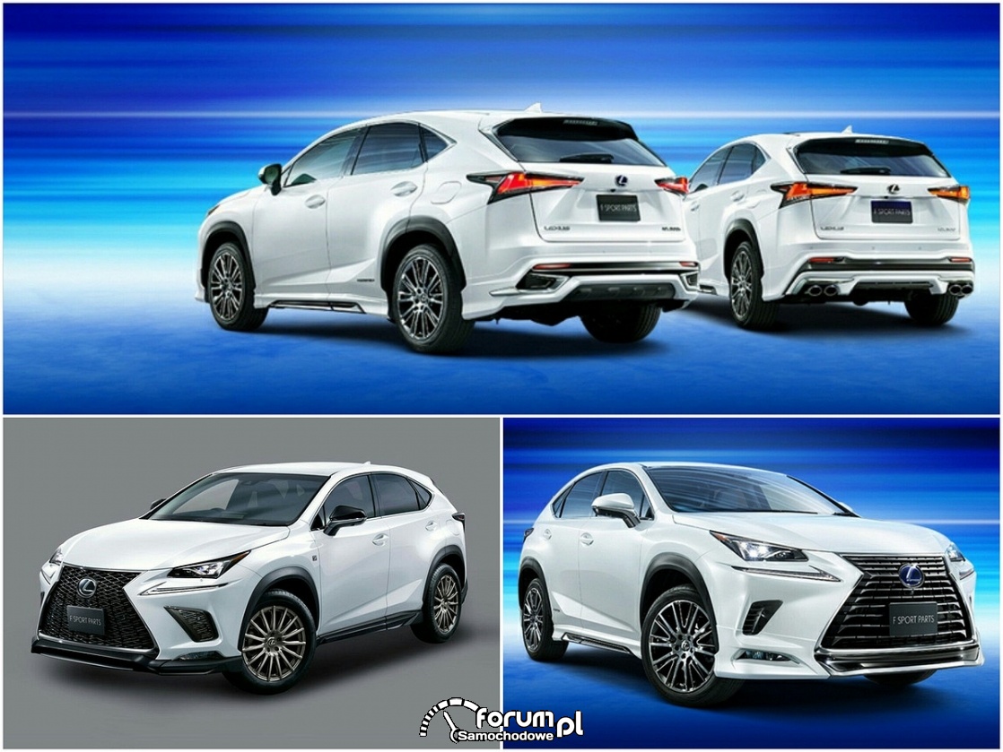 Lexus NX TRD vs Modellista