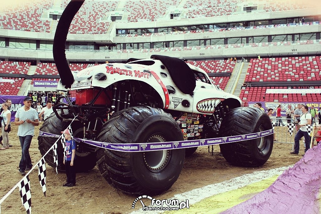 Monster Mutt Dalmatian z bliska na Pit Party