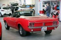 Ford Mustang 1966 rok, cabrio, tył