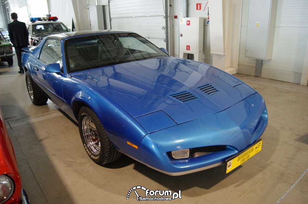 Pontiac Firebird, 1991 rok