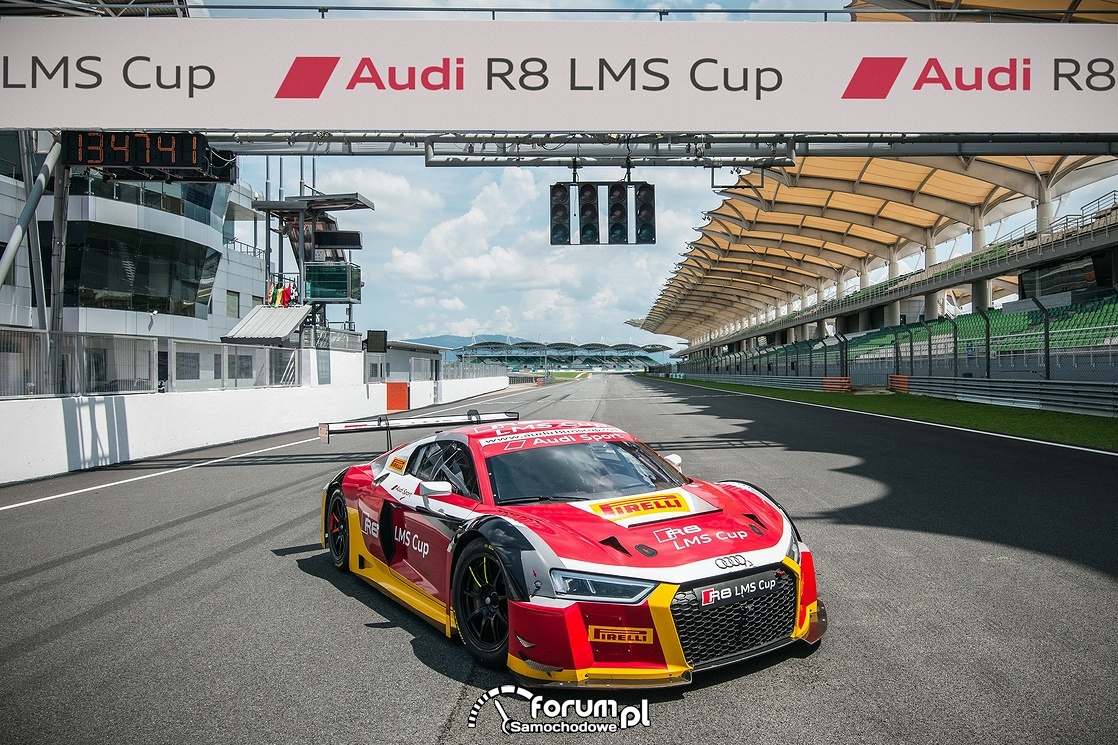 Audi R8 LMS w kategorii wyścigów GT w sezonie 2017