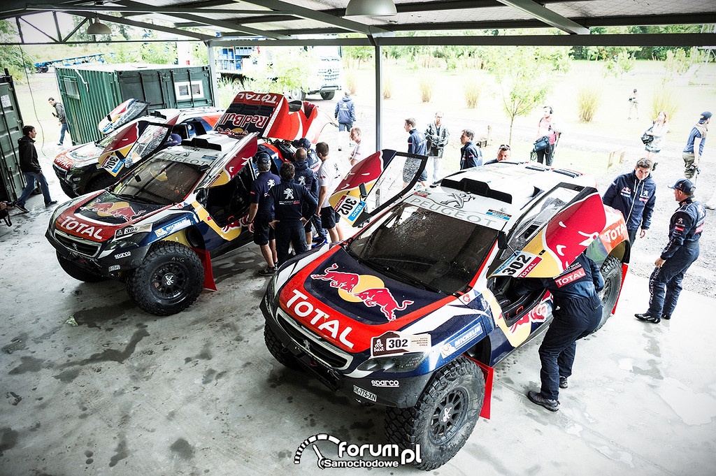 Peugeot 2008 DKR - dane techniczne