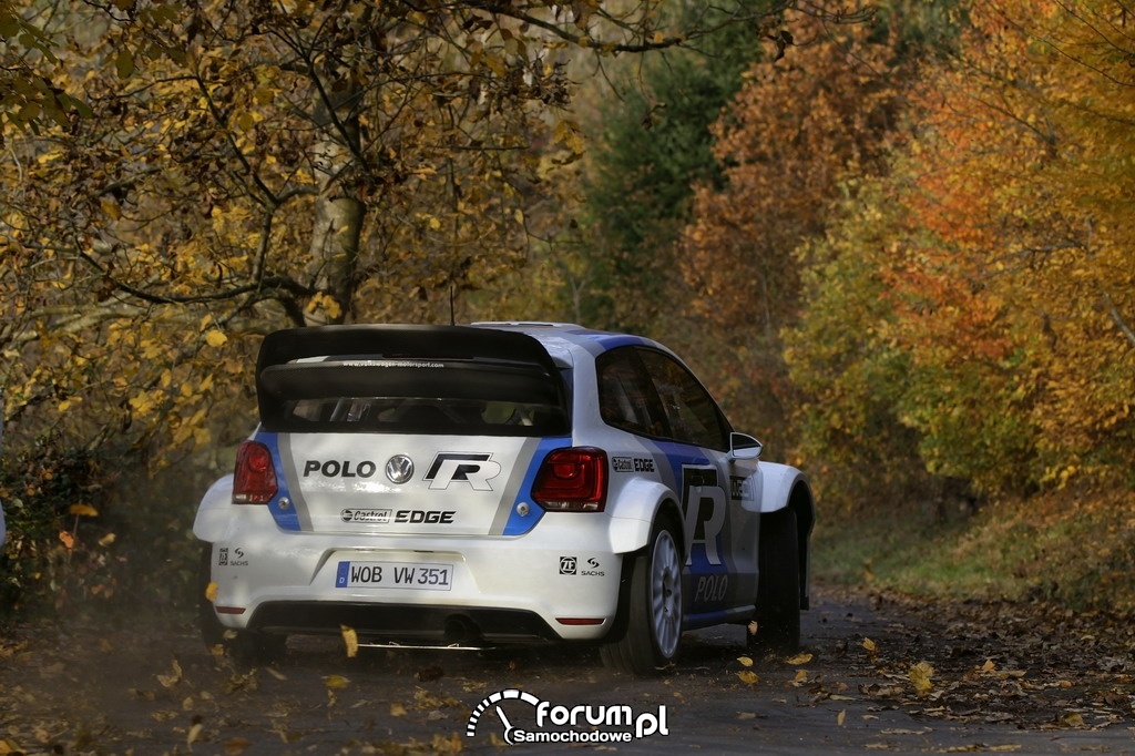 Volkswagen Polo R WRC, rajd, asfalt i liście