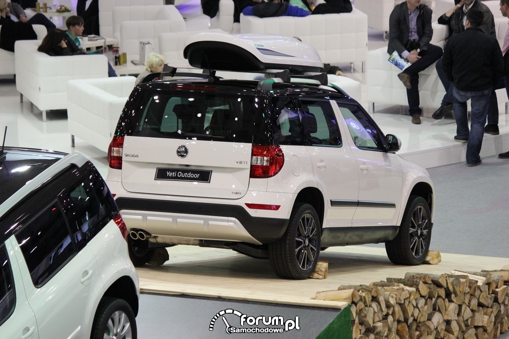 Skoda Yeti Outdoor, tył