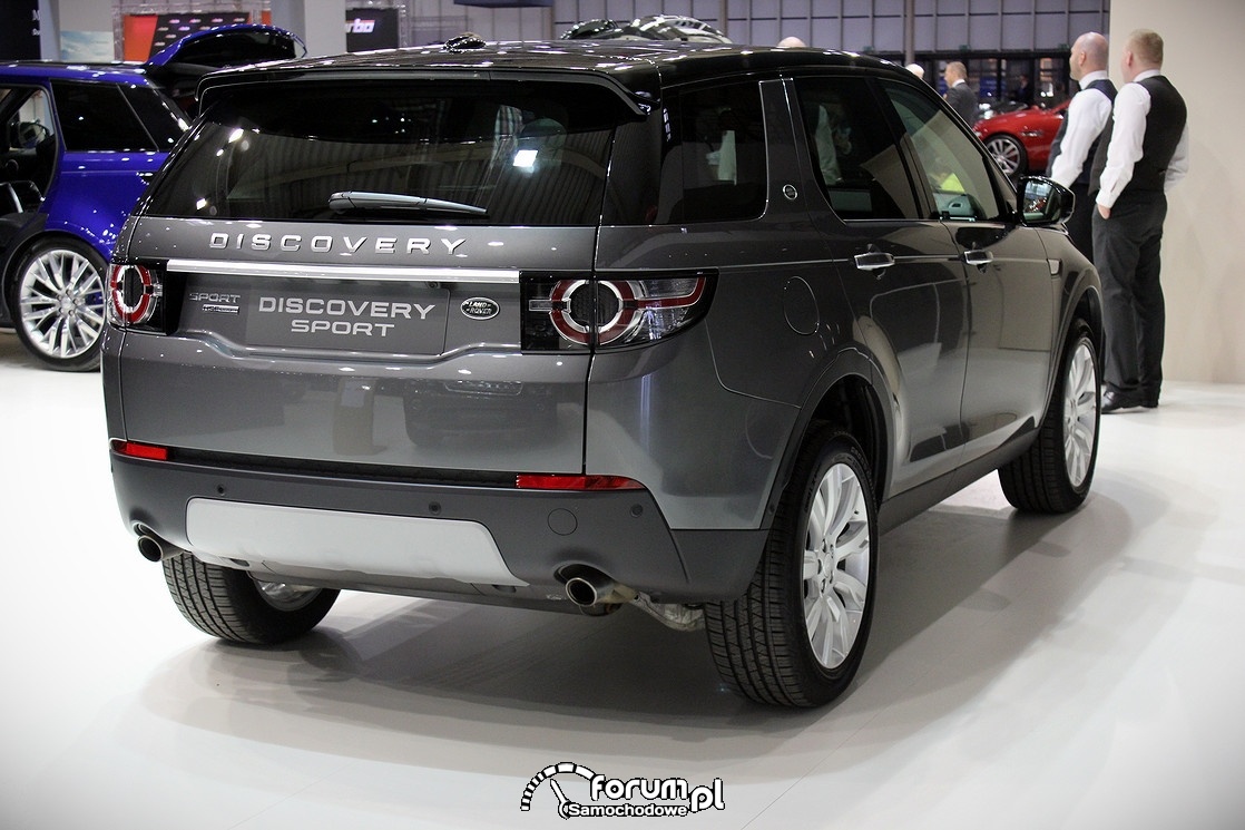 Land Rover Discovery Sport, tył