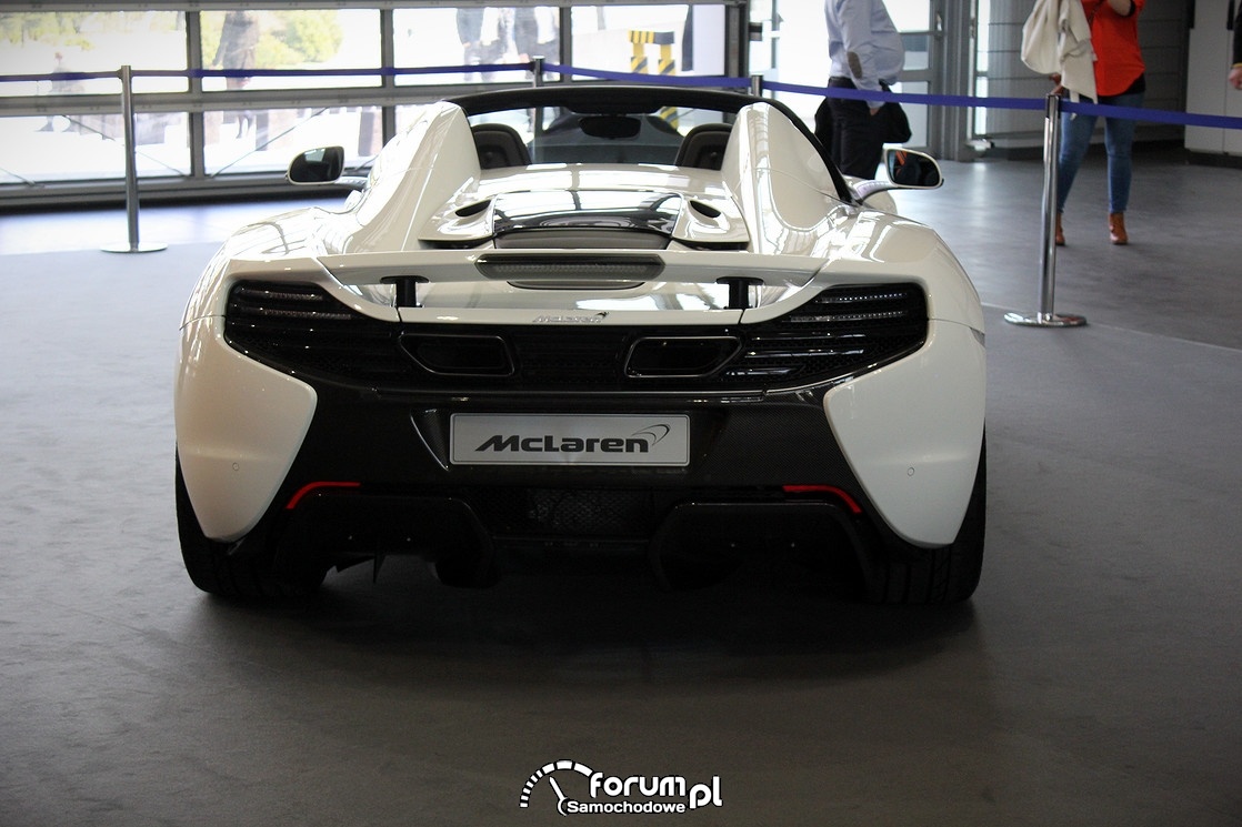 McLaren, tył