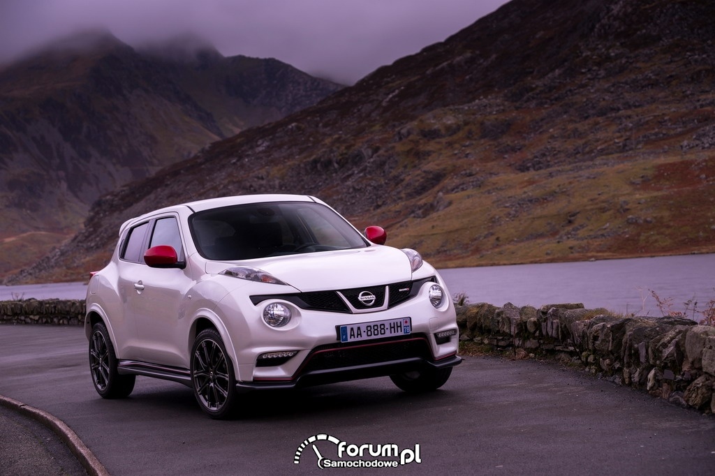 Nissan Juke Nismo