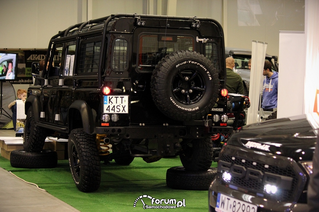 Land Rover Defender, tył