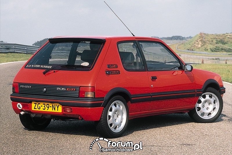 Peugeot 205 GTI, tył