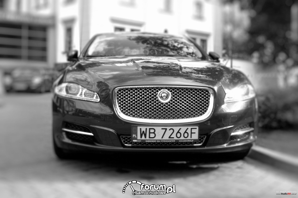 Jaguar XJ, przód