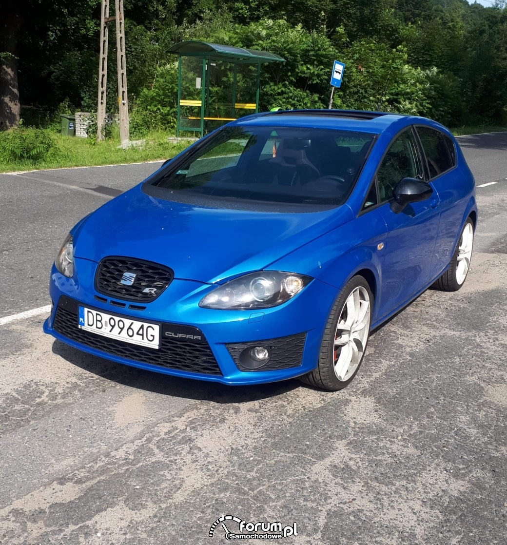 Używany Seat Leon 1P Cupra R 2011r 2.0 16v TSI