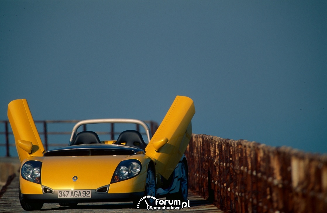 Renault Spider