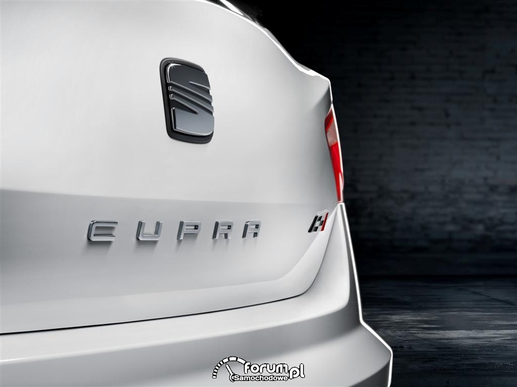 SEAT Ibiza Cupra, logo