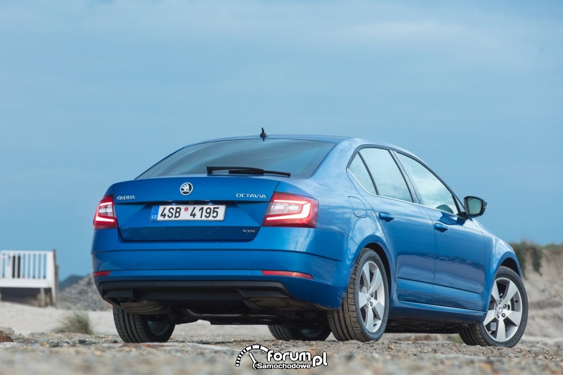 Skoda Octavia, tył, 2017