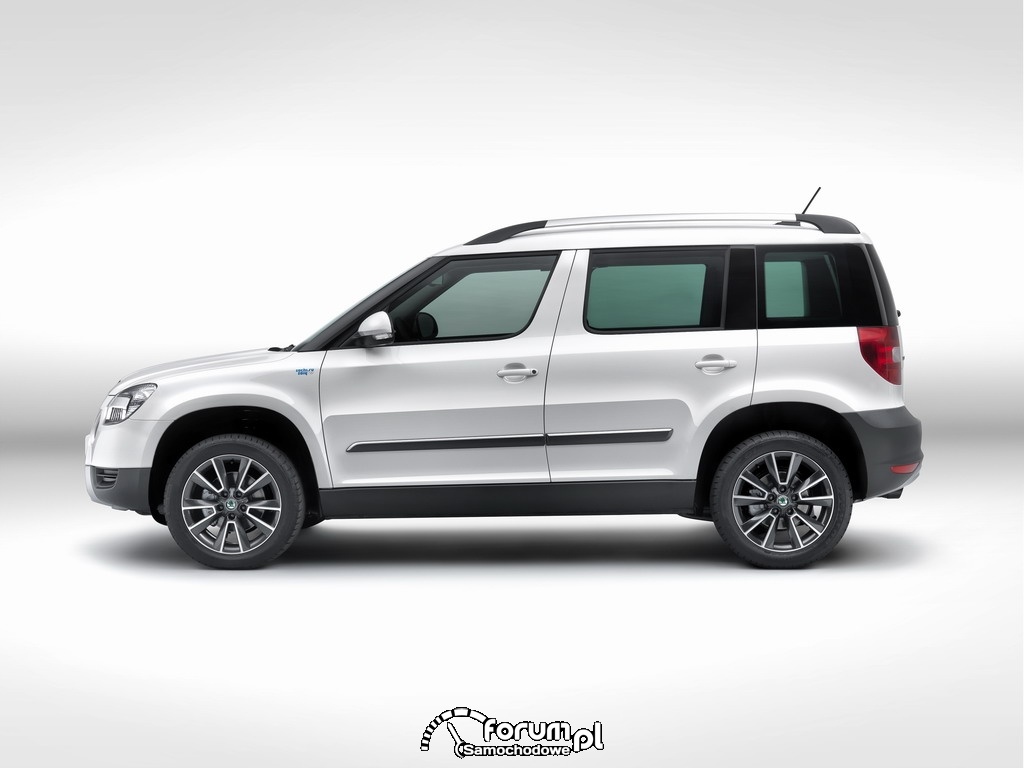 Skoda Yeti Sochi