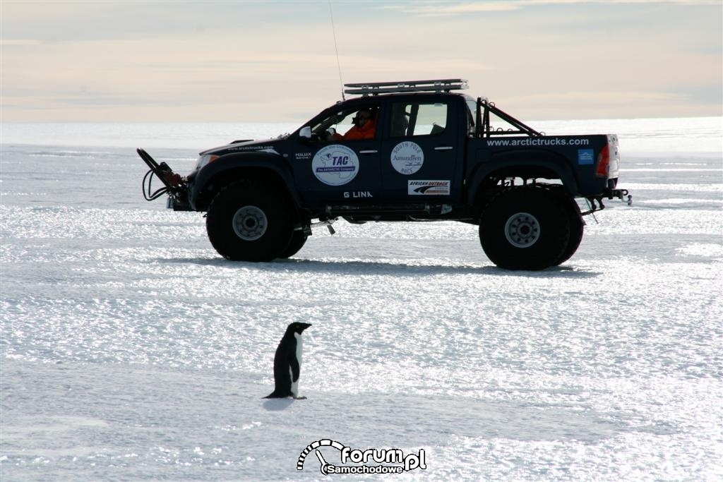 Toyota Hilux na Antarktydzie