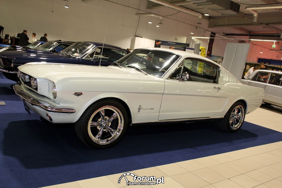 Ford Mustang Fastback, 1966 rok