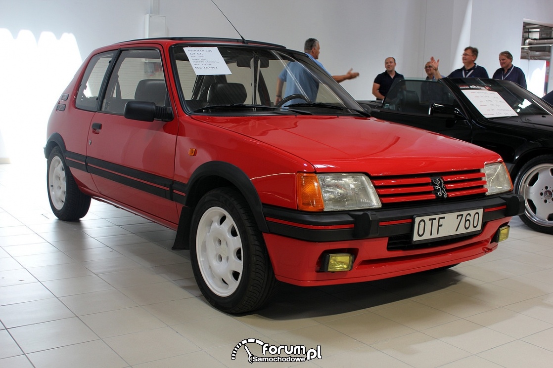 Peugeot 205 GTI