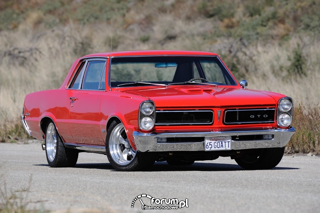 1965 pontiac gto-pic-3057901882119629545