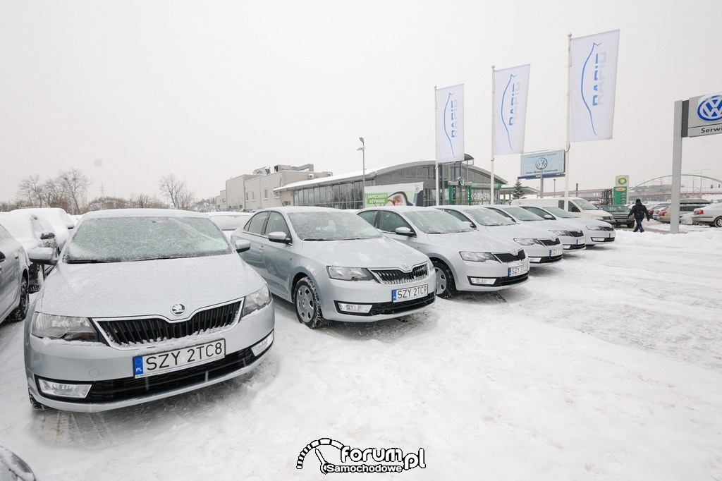 SKODA Rapid dołączyła do floty Grupy Żywiec